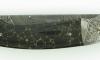xx 1515 Onyx - Damas, Mitre Damas 3